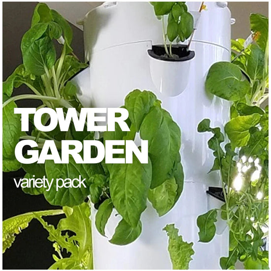 All-in-One Tomato Garden Variety Pack Review