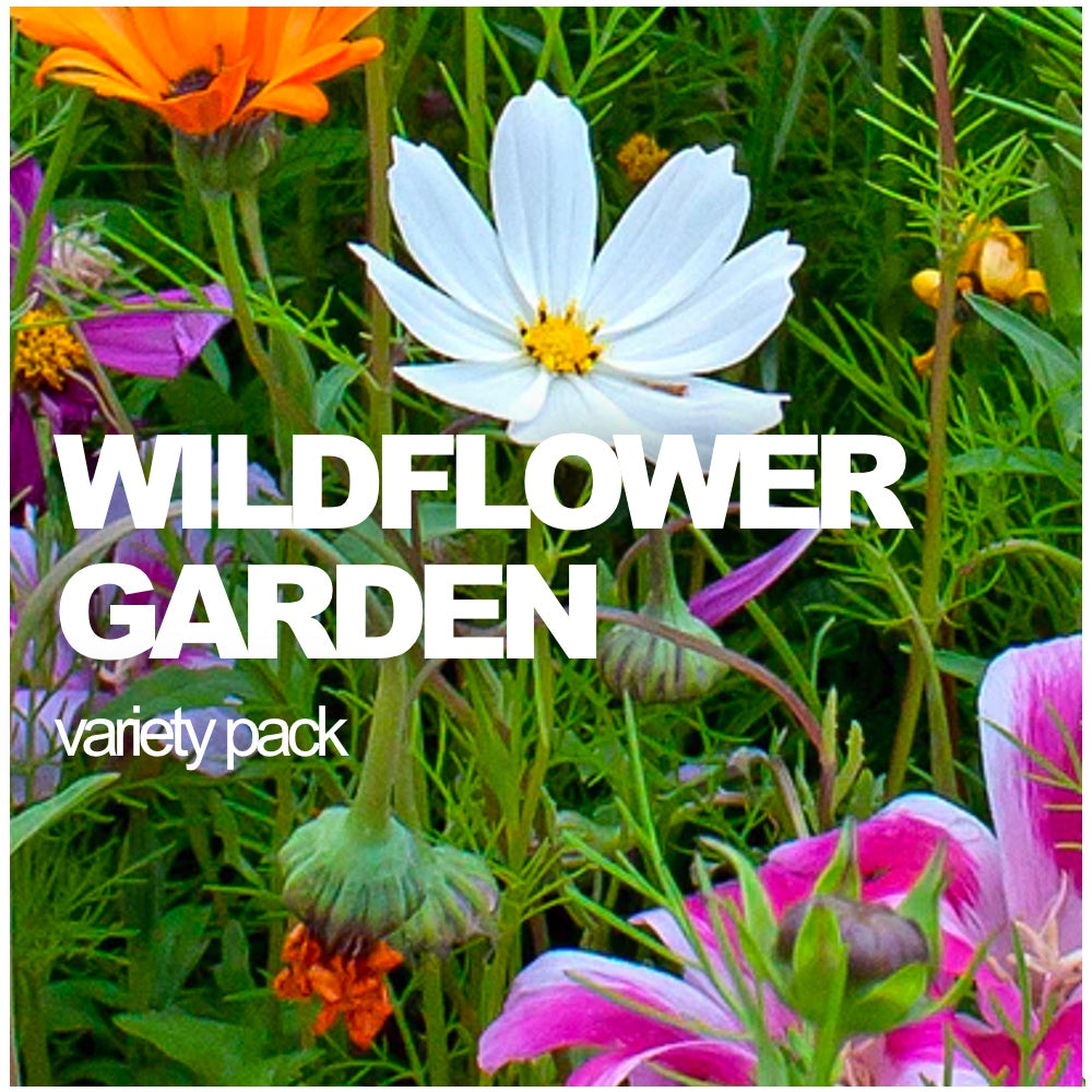 Wildflower Garden Packages