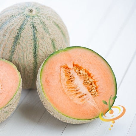 Melon, Honeydew Orangeflesh