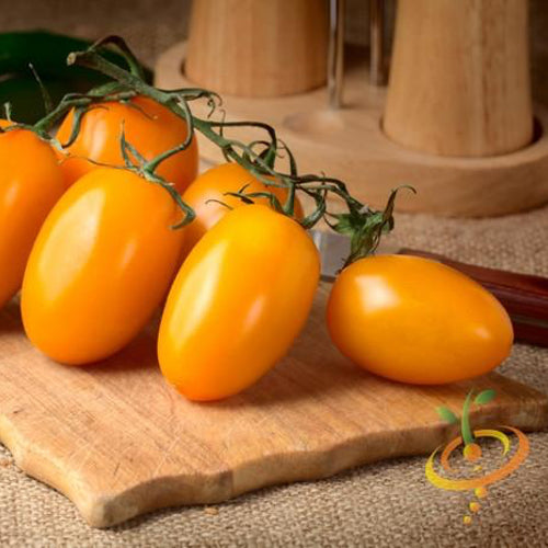 Yellow Pear Tomato – Mary's Heirloom Seeds