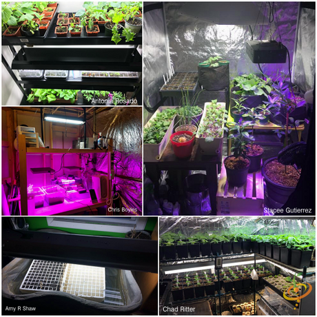 Get Inspired! "Indoor Grow Stations" [Customer Image Photo Gallery]