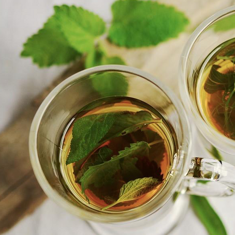 15 Herbs You Can Grow at Home To Make Your Own Tea