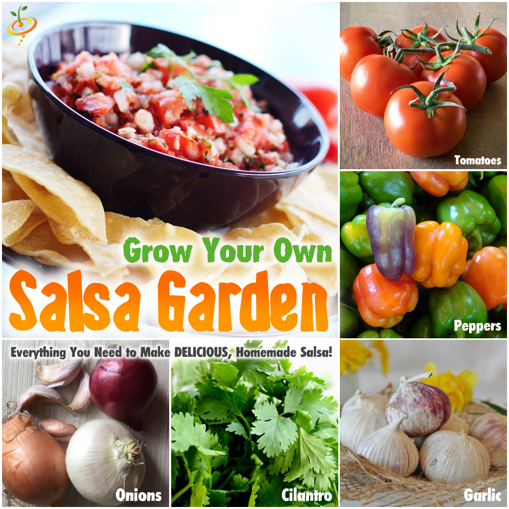 https://www.seedsnow.com/cdn/shop/articles/salsa_garden_1024x.png?v=1497203786