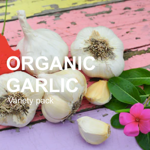 *NEW!* All-in-One Organic Garlic Variety Pack