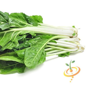 Swiss Chard - Classic "Fordhook" Giant - SeedsNow.com