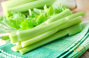 Celery - Golden - SeedsNow.com