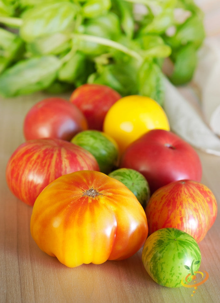 Tomato - Heritage Rainbow Mix [INDETERMINATE].