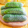 Cucumber - Homemade Pickles - SeedsNow.com
