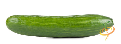 Cucumber - Ashley – Seedsnow.com