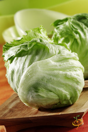 Lettuce - Iceberg.