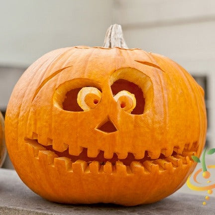 Shop Pumpkin - Jack O' Lantern NOW! - Buy organic non-gmo heirloom ...