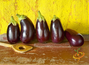 Eggplant - Blackbeauty.