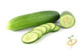 Cucumber - Everbearing.