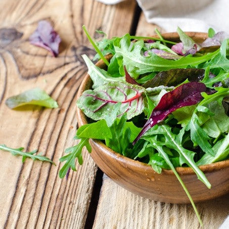 Lettuce - Gourmet/Mesclun Mix - SeedsNow.com