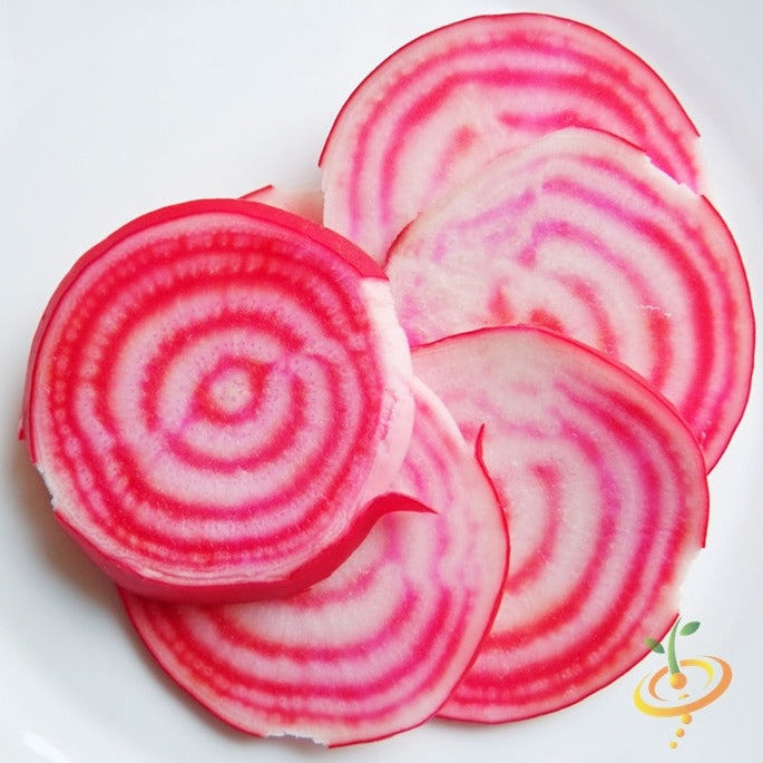 Beet - Chioggia - SeedsNow.com