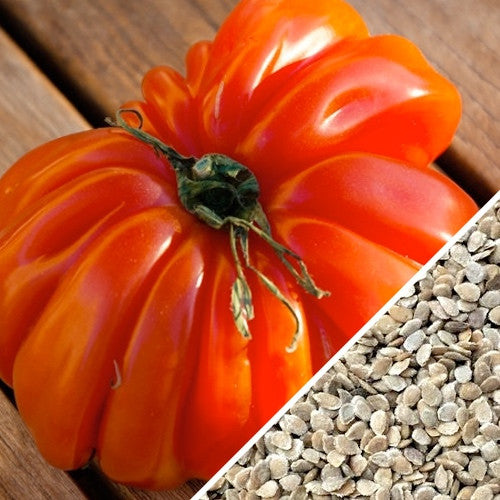 Red Beefsteak, Tomato Seeds
