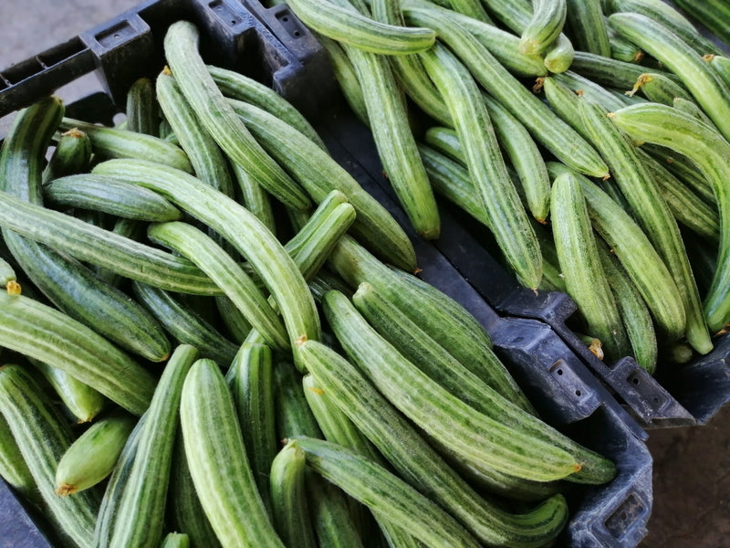 Why cucumbers are bitter & how to fix it - Ask the Food Geek