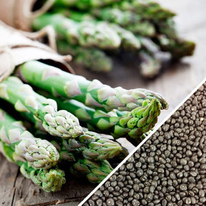 Asparagus - Mary Washington.