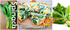Spinach - Bloomsdale.