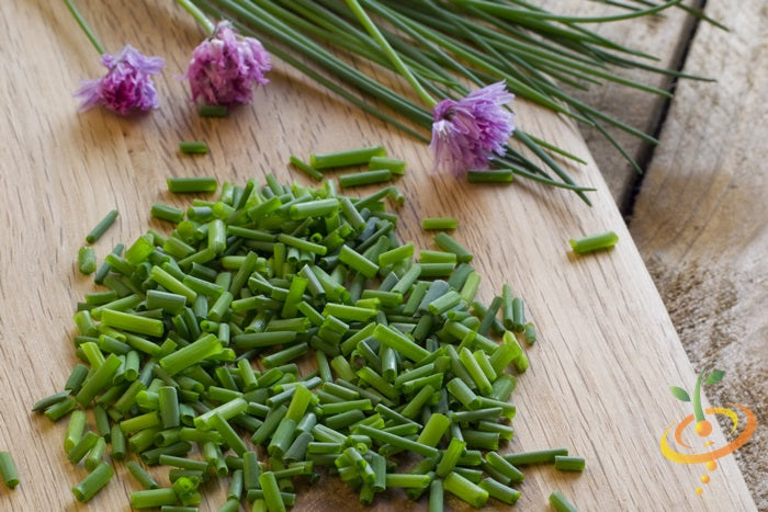 Where to Buy Chives seeds 